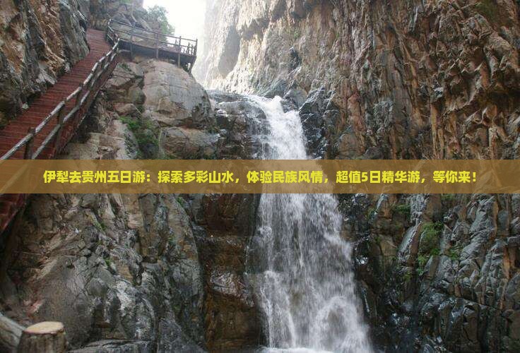 伊犁去贵州五日游
