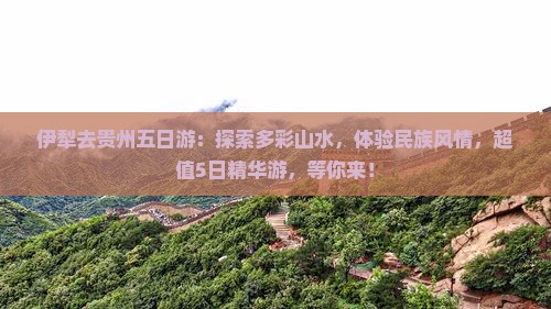 伊犁去贵州五日游