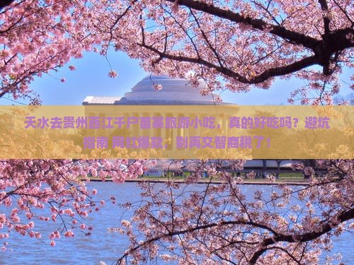 天水去贵州西江千户苗寨旅游小吃