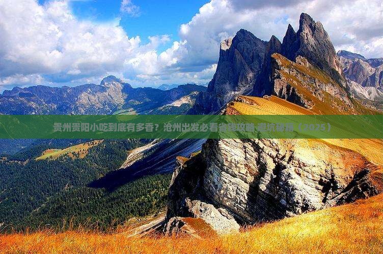 沧州到贵州贵阳旅游小吃