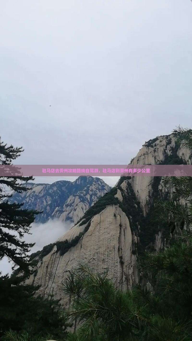 驻马店去贵州攻略