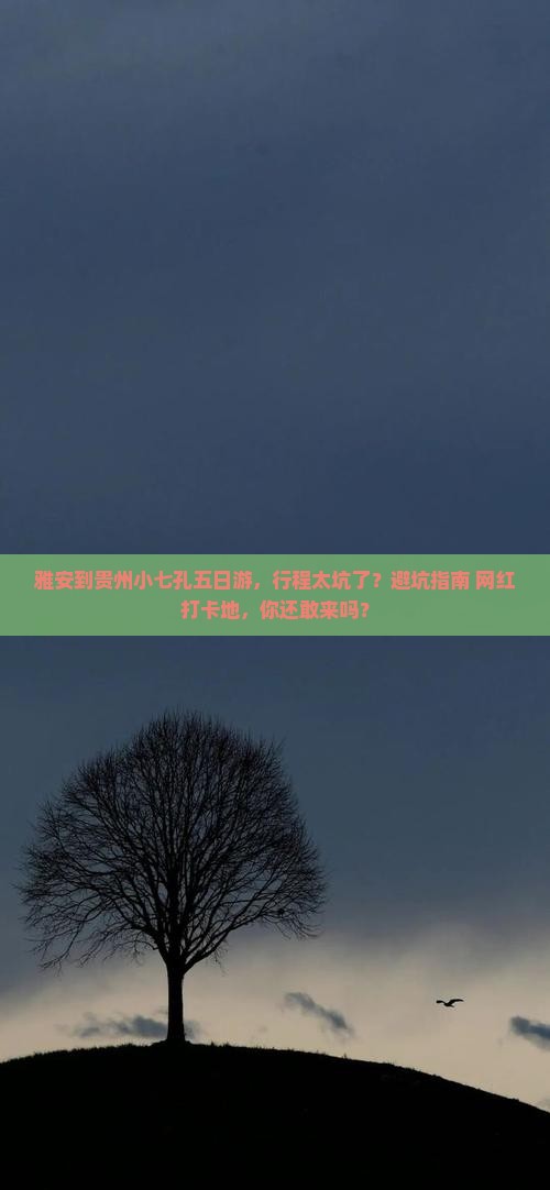 雅安到贵州小七孔五日游