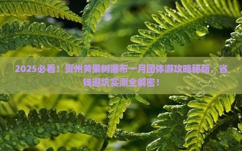 一月到贵州黄果树瀑布团体旅游