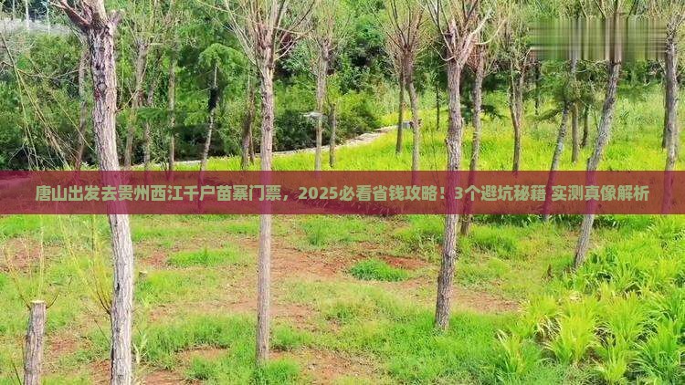 唐山到贵州西江千户苗寨门票