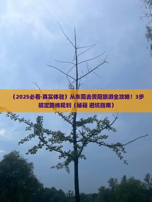 东莞到贵州贵阳旅行社