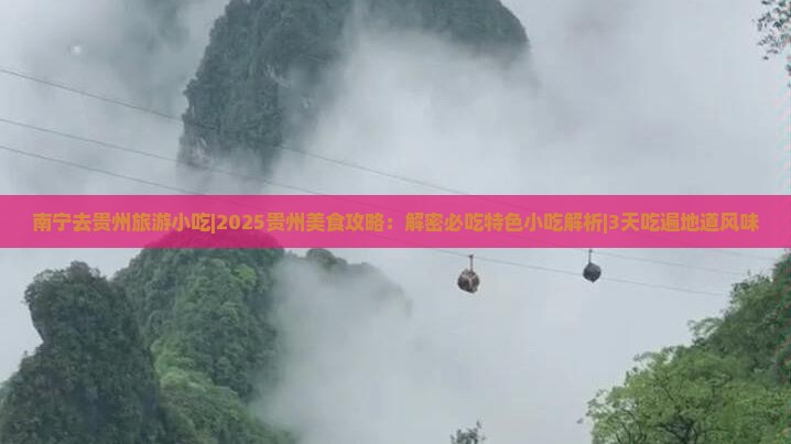 南宁去贵州旅游小吃