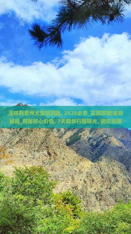 玉林到贵州大型旅游团