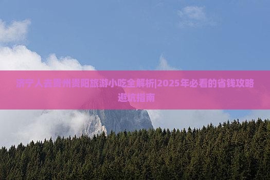 济宁去贵州贵阳旅游小吃