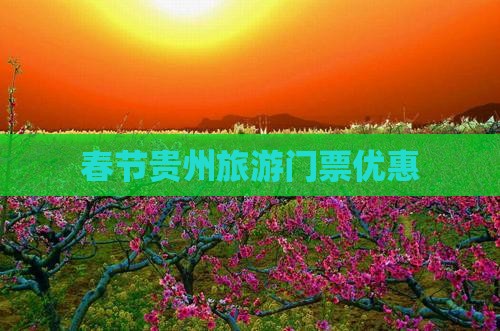 春节到贵州门票