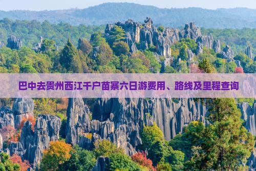 巴中去贵州西江千户苗寨六日游