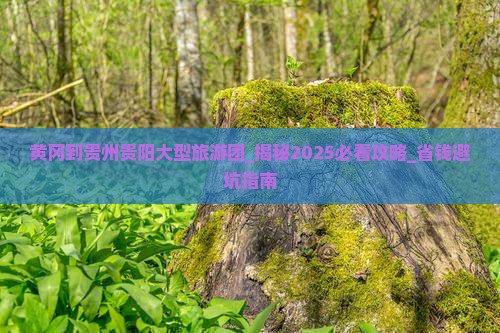 黄冈到贵州贵阳大型旅游团