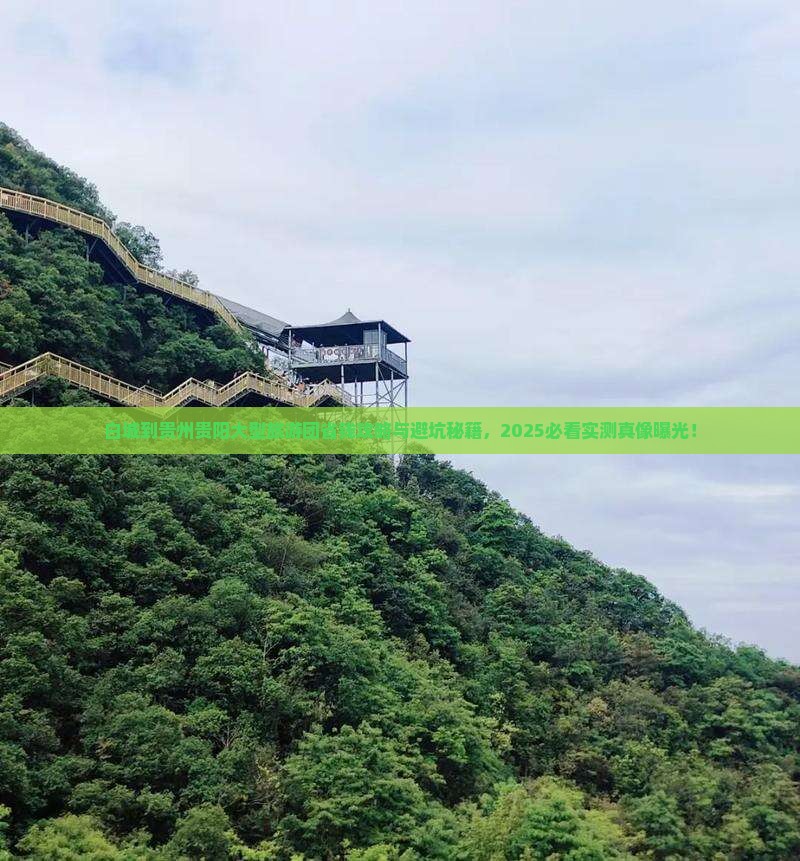 白城到贵州贵阳大型旅游团
