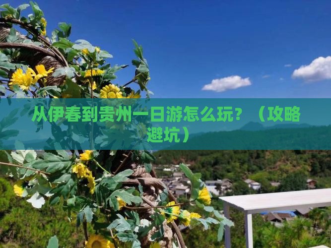伊春到贵州一日