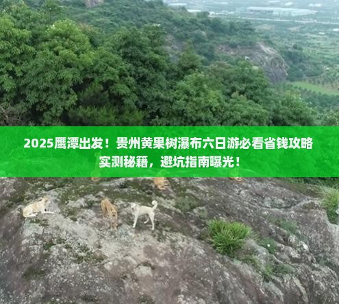 鹰潭去贵州黄果树瀑布六日游