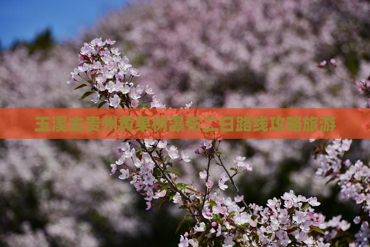 玉溪去贵州黄果树瀑布二日游