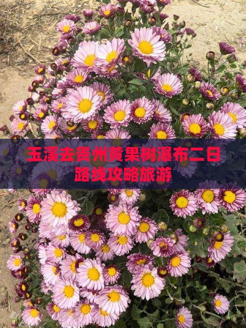 玉溪去贵州黄果树瀑布二日游