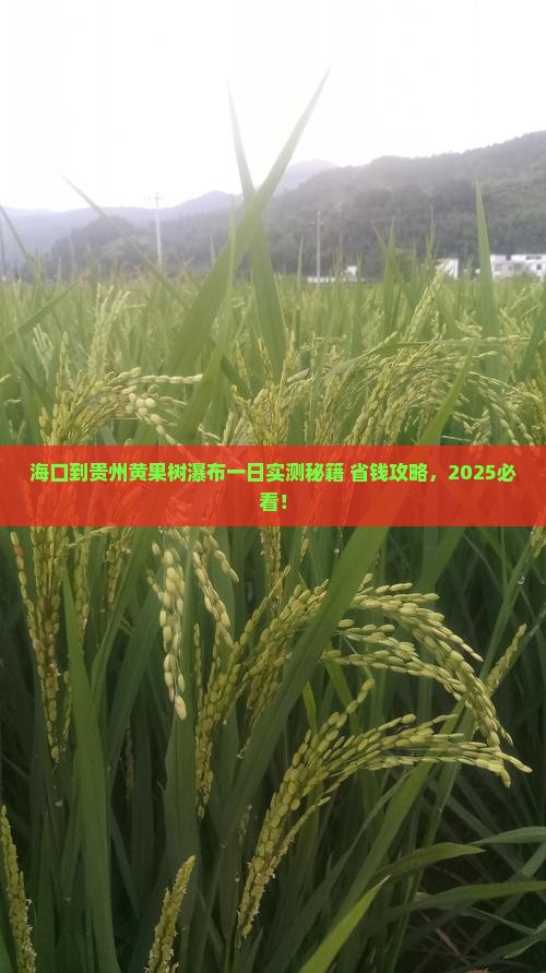 海口到贵州黄果树瀑布一日