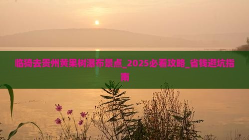 临猗去贵州黄果树瀑布景点