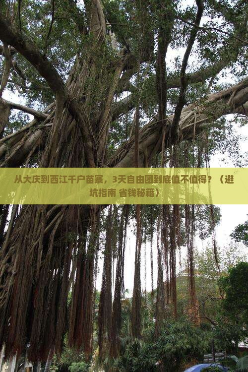 大庆去贵州西江千户苗寨自由团