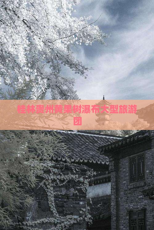 桂林到贵州黄果树瀑布大型旅游团
