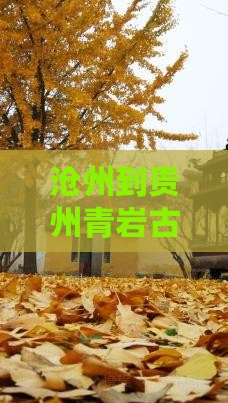 沧州到贵州青岩古镇三日游