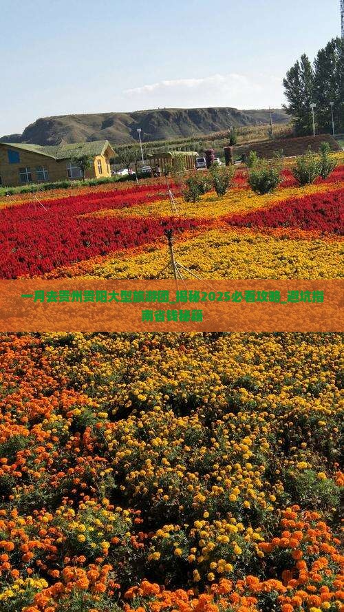 一月去贵州贵阳大型旅游团