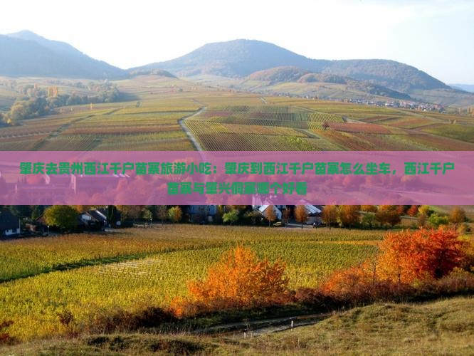 肇庆去贵州西江千户苗寨旅游小吃