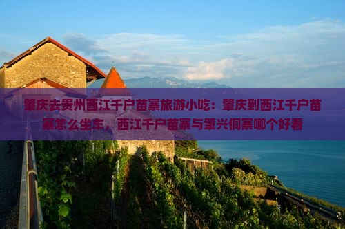 肇庆去贵州西江千户苗寨旅游小吃