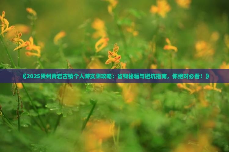 嘉兴去贵州青岩古镇个人游