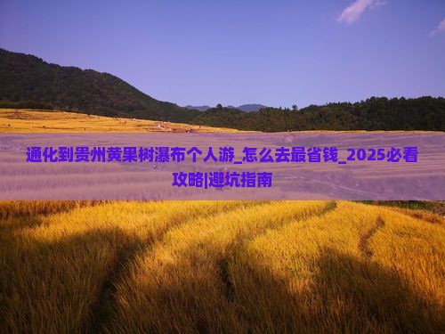 通化到贵州黄果树瀑布个人游