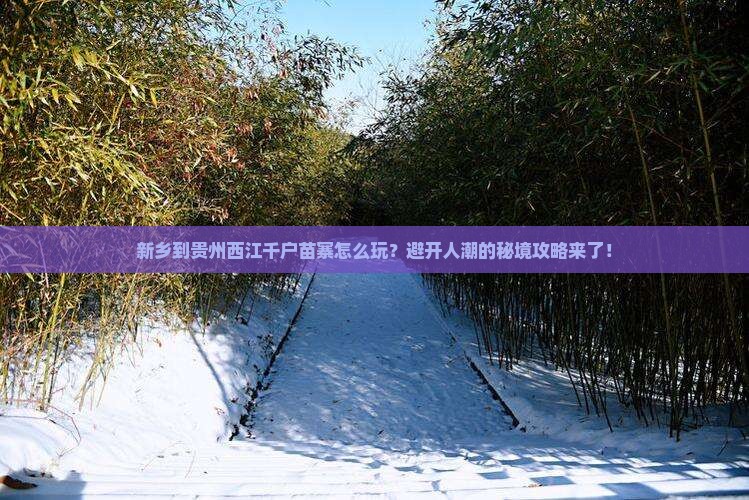 新乡到贵州西江千户苗寨旅游 新乡到贵州西江千户苗寨旅游
