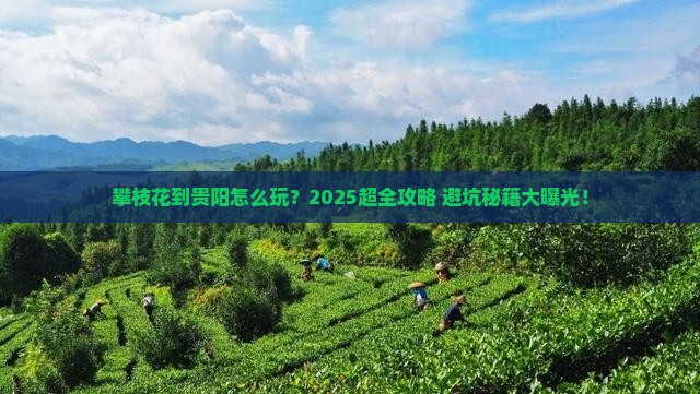 攀枝花到贵州贵阳旅行社