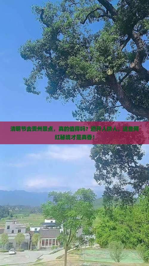 清明节到贵州景点