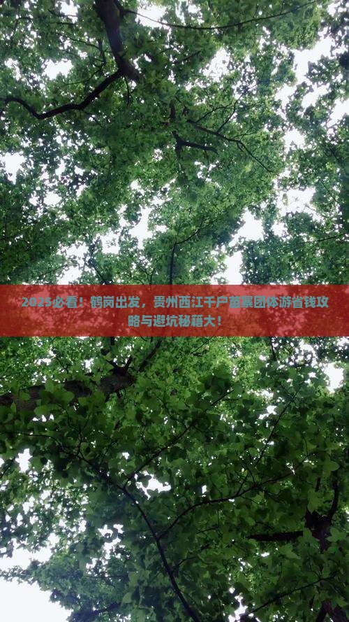鹤岗到贵州西江千户苗寨团体旅游