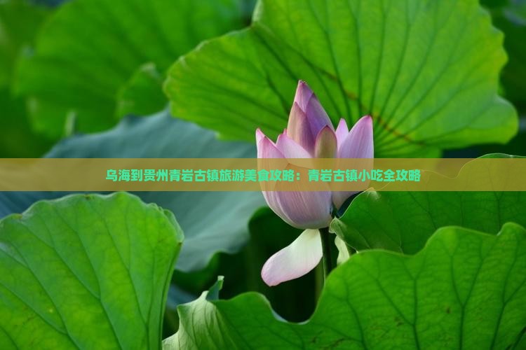 乌海到贵州青岩古镇旅游小吃