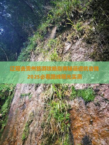 辽阳去贵州旅游