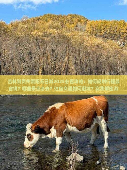吉林到贵州贵阳五日游 吉林到贵州贵阳五日游