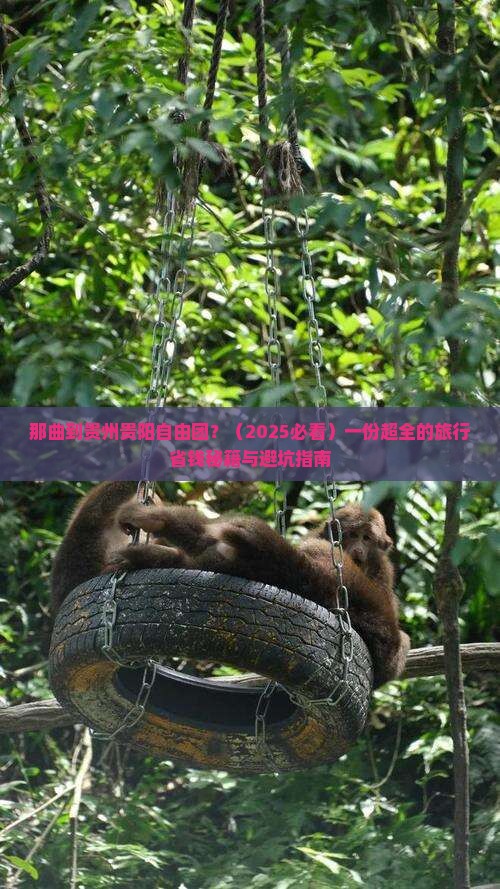 那曲到贵州贵阳自由团
