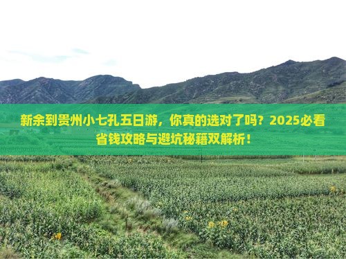 新余到贵州小七孔五日游