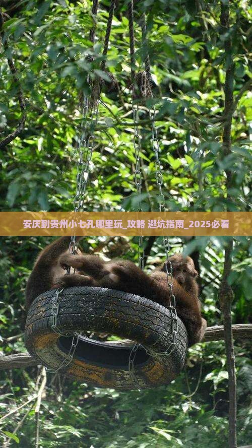 安庆到贵州小七孔哪里玩