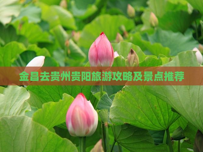 金昌去贵州贵阳门票