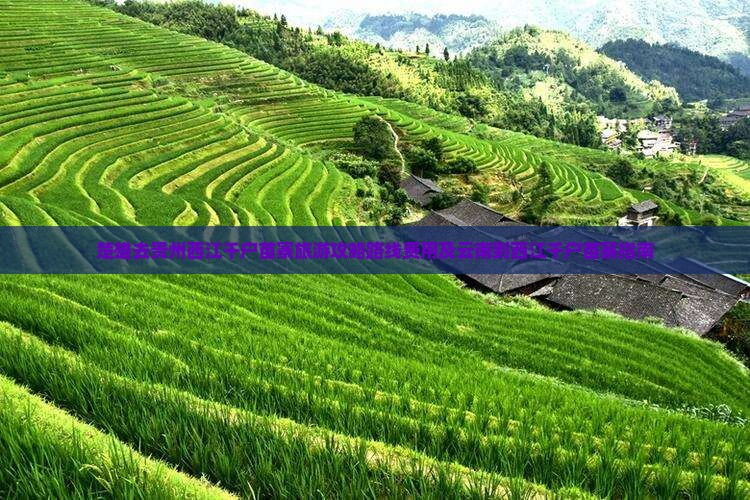楚雄去贵州西江千户苗寨旅游