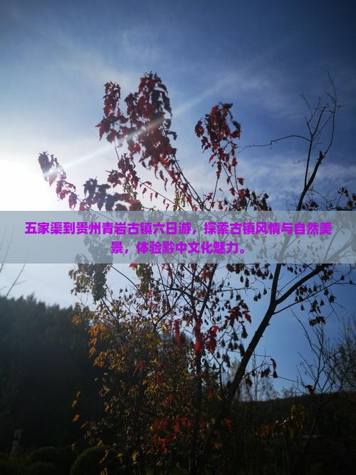 五家渠到贵州青岩古镇六日游