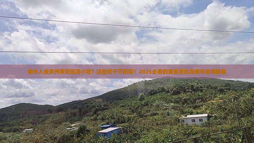 衡水去贵州贵阳旅游小吃