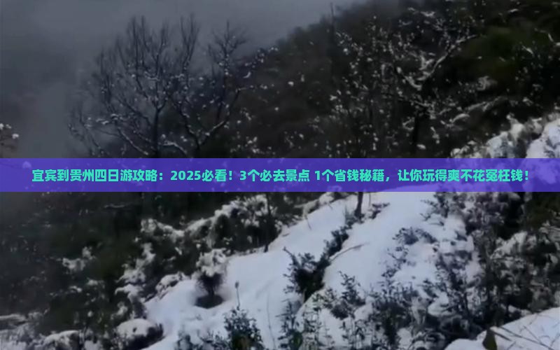 宜宾到贵州四日游