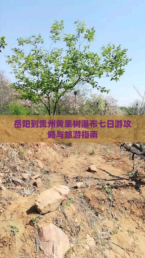 岳阳到贵州黄果树瀑布七日游