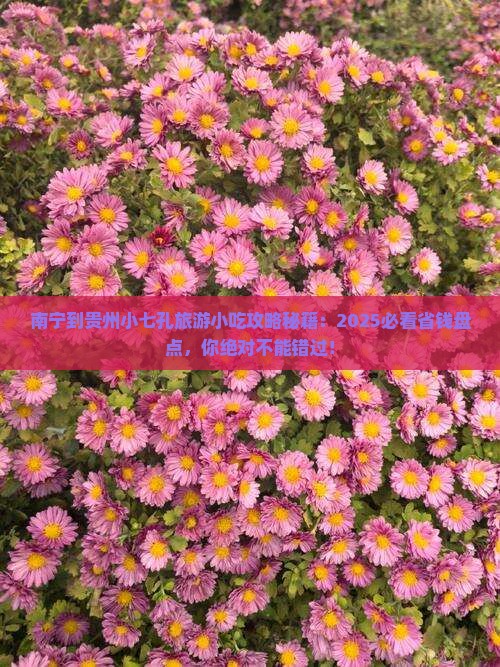 南宁到贵州小七孔旅游小吃