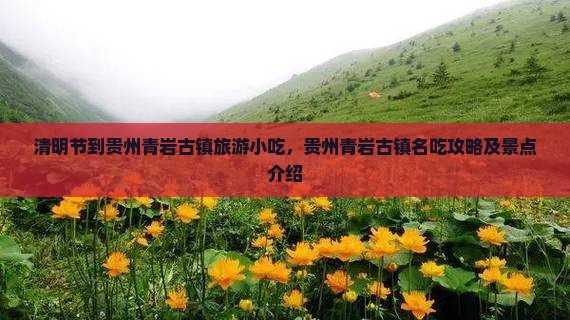 清明节到贵州青岩古镇旅游小吃