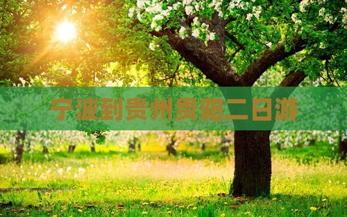 宁波到贵州贵阳二日游