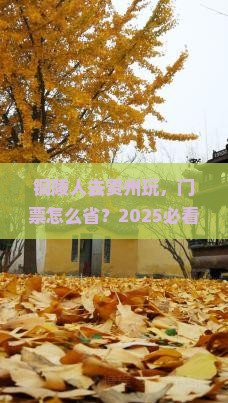 铜陵去贵州门票